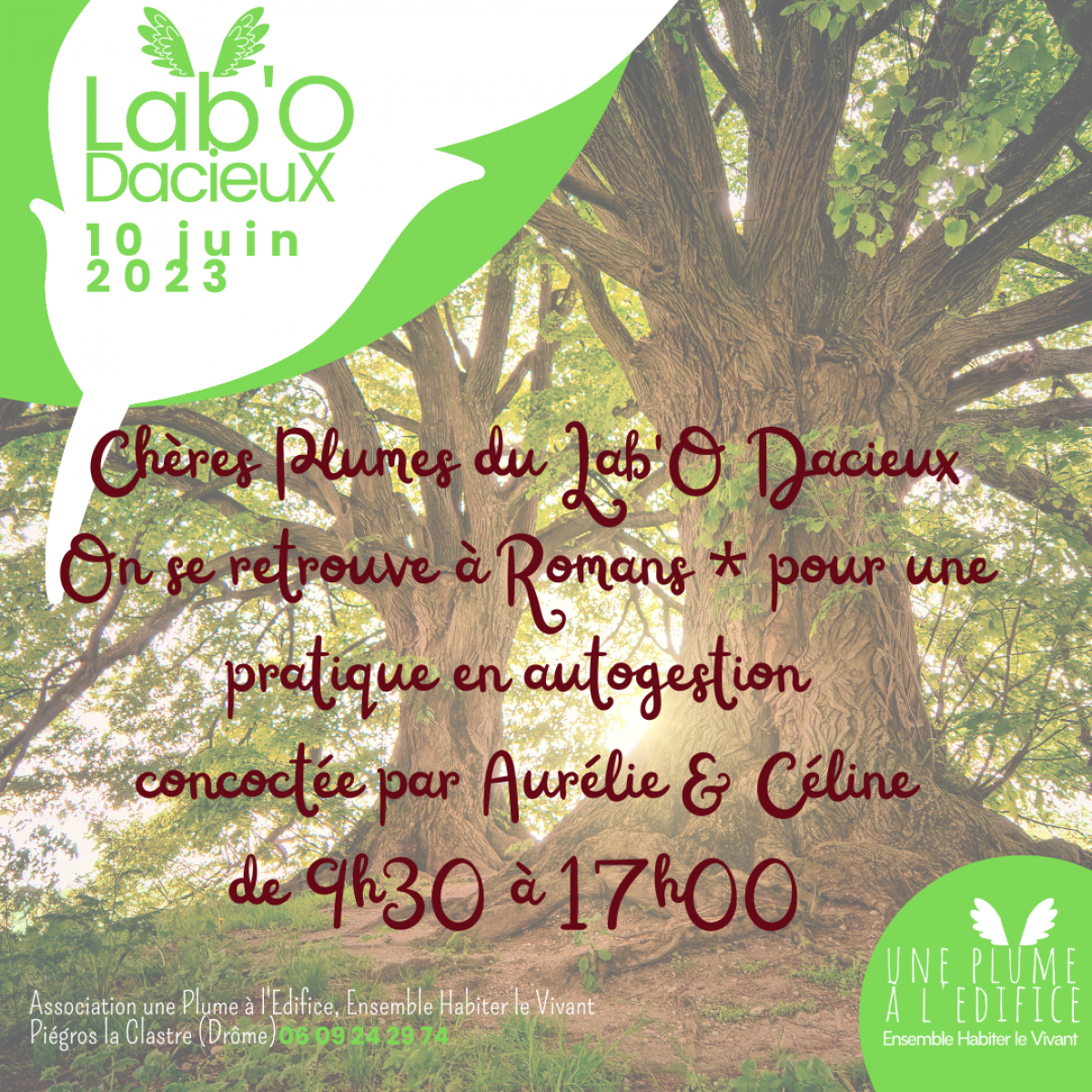 Juin 23 Atelier dexperimentation Une Plume O Dacieuse