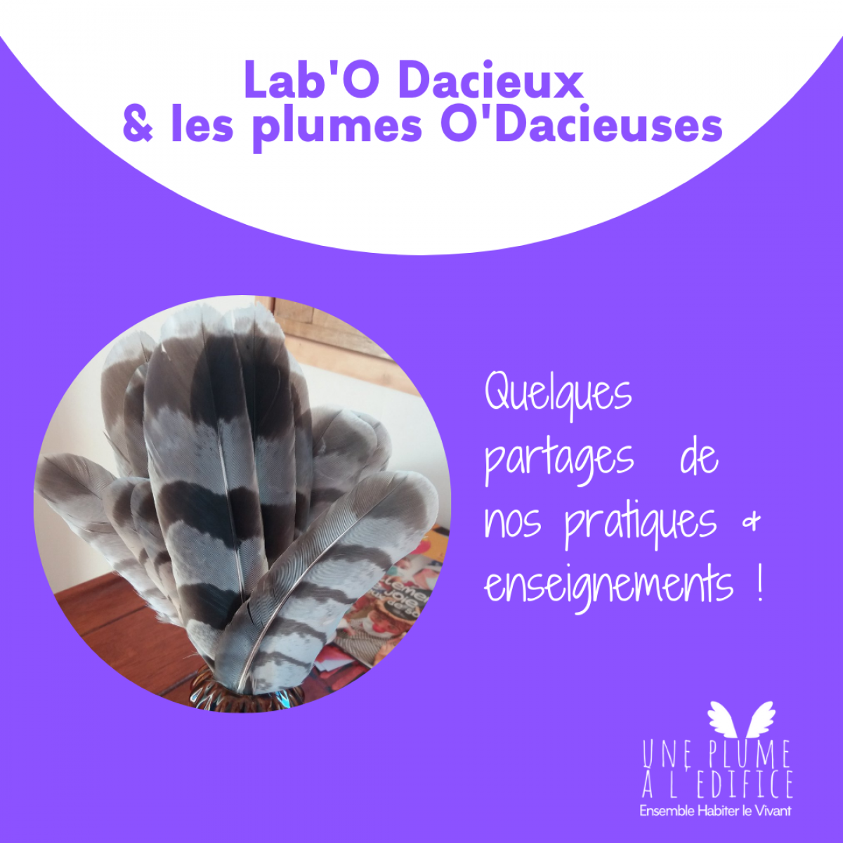 LabO Une Plume O Dacieuse 2 le 29 septembre 2021